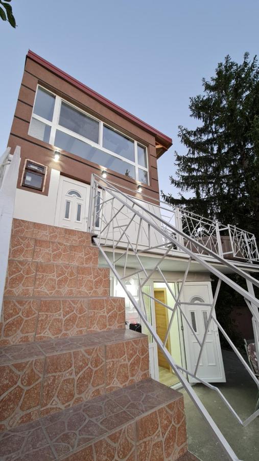 Lux Star-Vila Za Odmor Villa Besenovacki Prnjavor Exterior foto